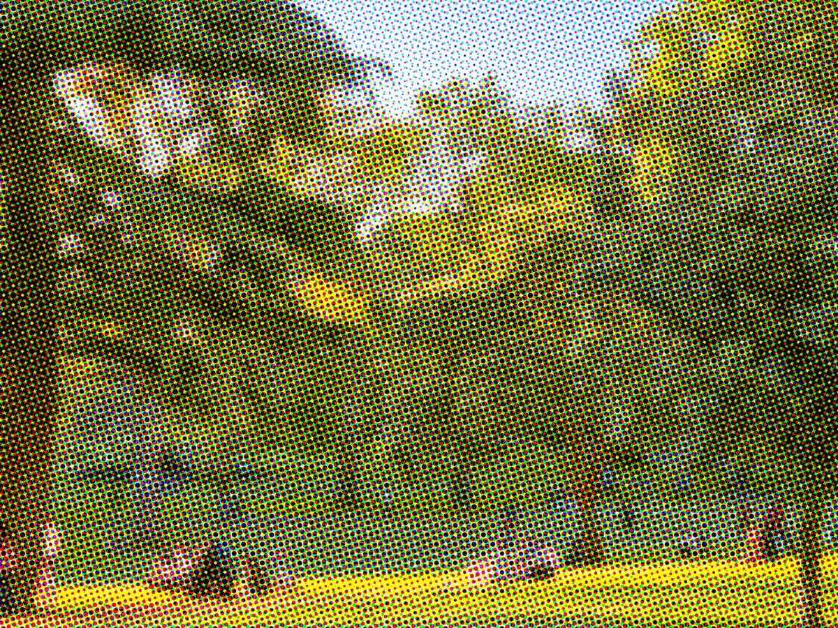 Sunny North London park with people relaxing on the grass